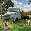 Puzzle Sheep Field 1000 pc