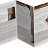 Life of Jesus Pamphlet - Image 2