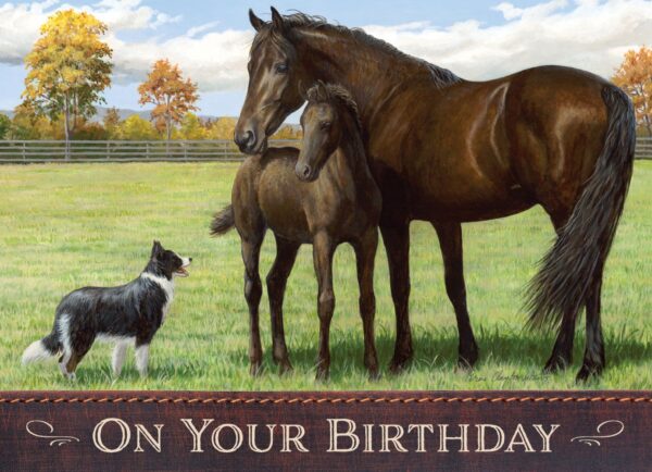 Cards Birthday Peaceful Pastures- Discontinued - Image 8