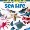 Sea Life: Easy-to-Make Paper Toys