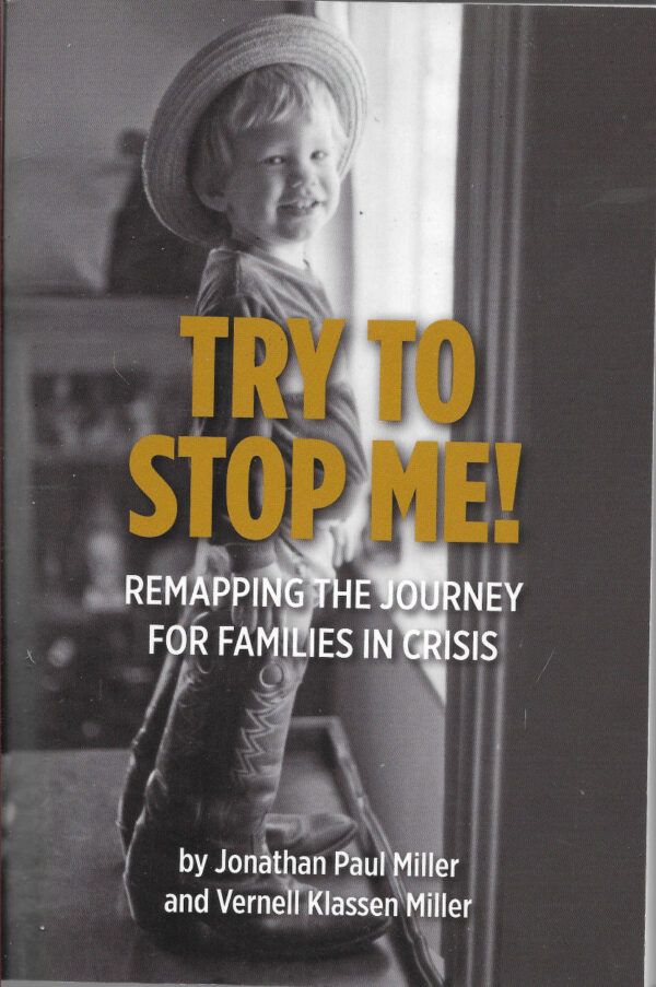 Try to Stop Me -Remapping the Journey for Families in Crisis 118 3845 0