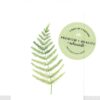 ICare- Leaf Collection Blank Notecards