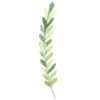 ICare- Leaf Collection Blank Notecards - Image 3