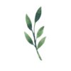 ICare- Leaf Collection Blank Notecards - Image 6