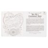 Illustrated Devotional for Women - Image 4