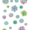 Rustic Bloom Succulent Accents- Assorted Sizes