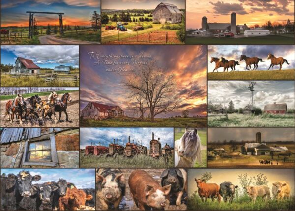Puzzle Farmer's Collage 1000 Pc. - Discontinued when sold out till 2023