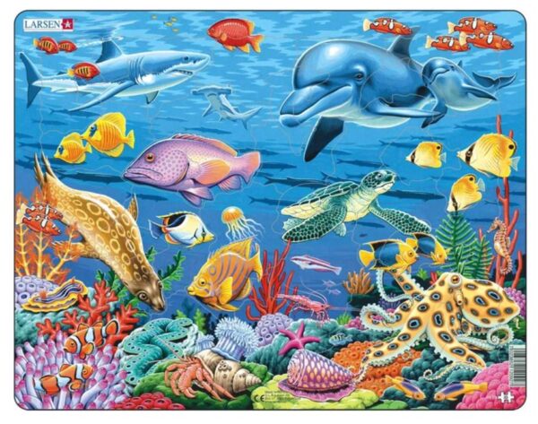 Puzzle Coral Reef 35 Pc