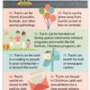 Tracts: 100 Reasons And Ways To Use Tracts KJV - Image 6