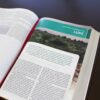 NKJV Study Bible, Hardcover, Full-Color, Red Letter Edition, Comfort Print - Image 2