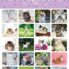 Tiny Kittens Mini Stickers