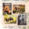 Cards Birthday Wildlife Ways