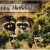 Cards Birthday Wildlife Ways - Image 3