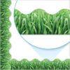 Scalloped Border Grass - Image 3