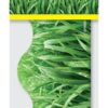Scalloped Border Grass - Image 4