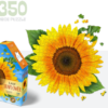 I AM Sunflower - Madd Capp Puzzle - 350 pc