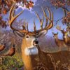 Puzzle Deer and Pheasant 500 pc