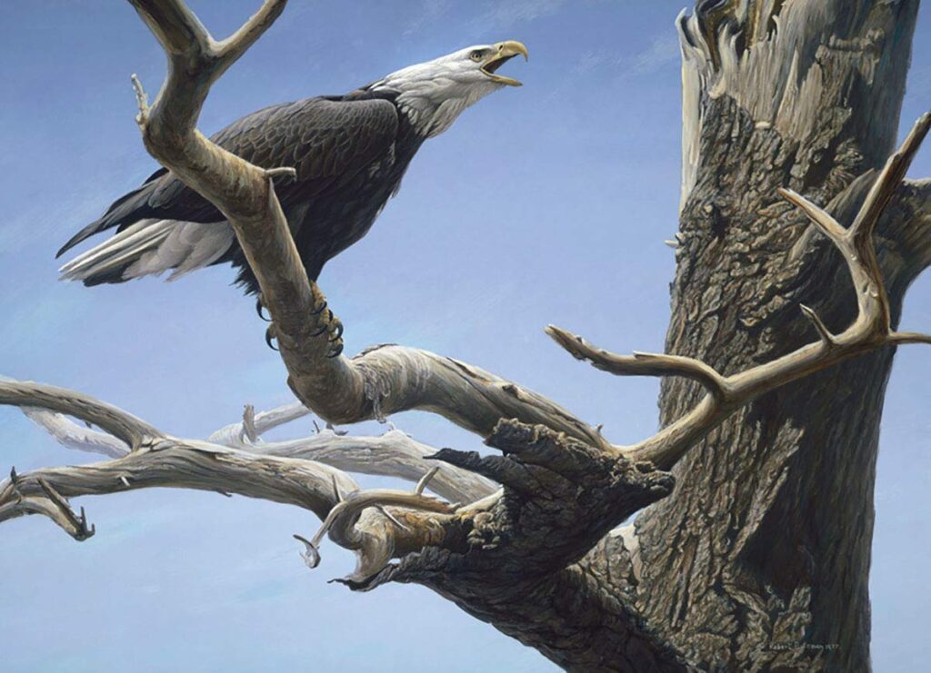 Image of Puzzle Call of the Wild (Eagle) 500 pc – Discontinued When sold out