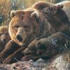 Puzzle Grizzly Family (Family Pieces) 350 pc