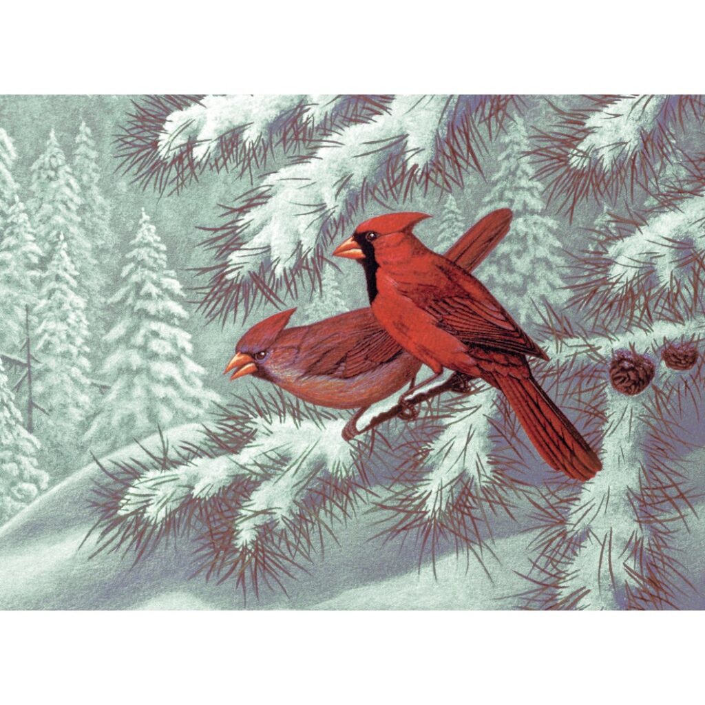 Image of Paint by Numbers Cardinals