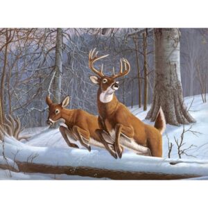 Image of Paint by Numbers | White Tails