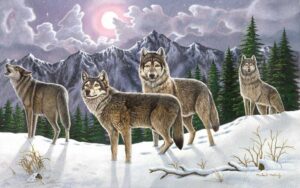 Image of Paint by Numbers | Wolves