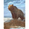 Paint by Numbers | Grizzly Bear