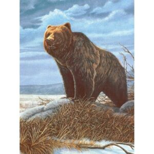 Image of Paint by Numbers | Grizzly Bear