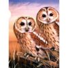Paint By Number Junior Small Tawny Owls