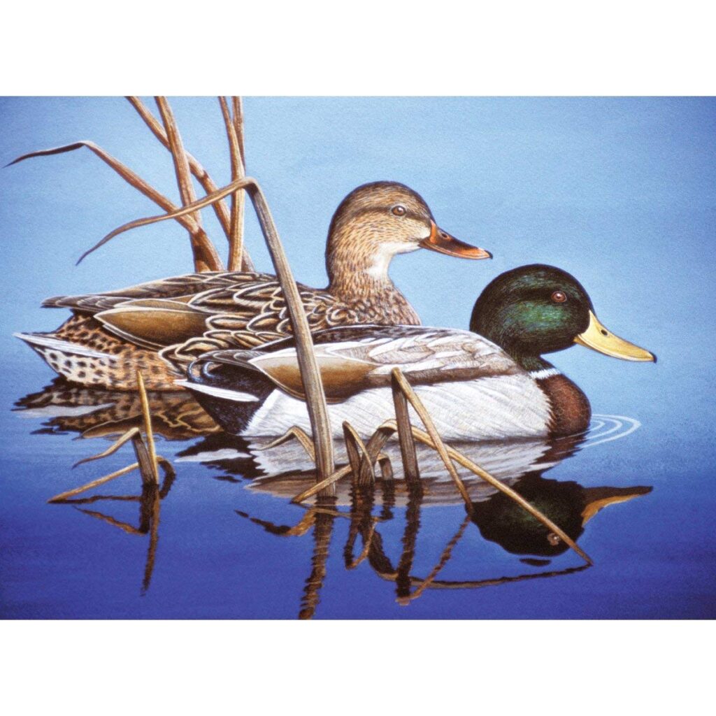 Image of Paint by Number Blue Water Mallards