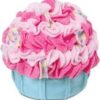 Cupcake Accent Pillow Created by Me! - Discontinued when sold out