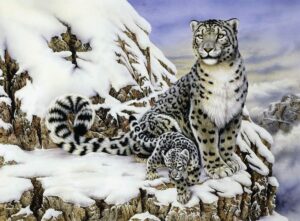 Image of Paint by Number Junior Large Alpine Royalty