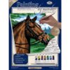 Paint by Number Small Thoroughbred