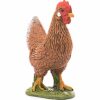 Hen - Image 2