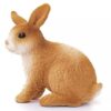 Rabbit - Image 4