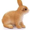Rabbit - Image 5