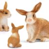 Rabbit - Image 6