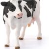 Holstein Cow - Image 2