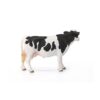 Holstein Cow - Image 3