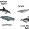 Toob Dolphins & Whales - Image 3