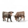 Cow 3 Designs -head right, head down or head left - Image 5