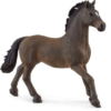 Oldenburger Stallion