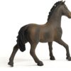 Oldenburger Stallion - Image 2