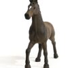 Oldenburger Stallion - Image 3