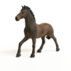 Oldenburger Stallion - Image 4