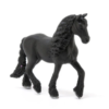 Frisian Mare - Image 4