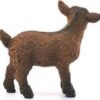 Dwarf Goat Kid - Image 2