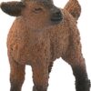 Dwarf Goat Kid - Image 3