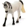 Arabian Mare- Discontinued - Image 4