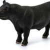 Black Angus Bull - Image 4